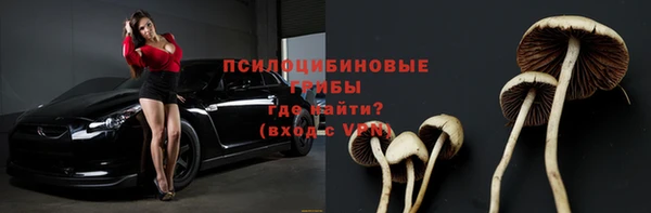 ПСИЛОЦИБИНОВЫЕ ГРИБЫ Армянск