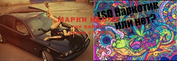 ГАЛЛЮЦИНОГЕННЫЕ ГРИБЫ Арсеньев