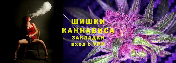 ГАЛЛЮЦИНОГЕННЫЕ ГРИБЫ Арсеньев